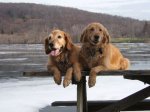 Chillin_at_Lake_Waramaug_Emma_and_Sandy.JPG