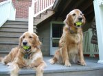 Emma and Sandy with Tennis Balls(a)_1.jpg