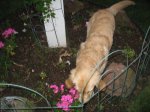 LucyMoments119.jpg
