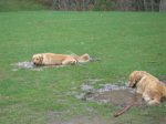 MudHoles5.jpg