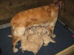 Week_Four_Updates444.jpg